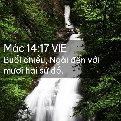 Picture 02 - Mác 14:17 VIE - Buổi chiều, Ngài đến với mười hai - Bible Verse Picture