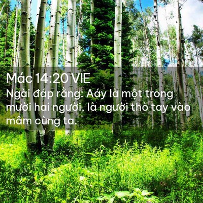 Picture 02 - Mác 14:20 VIE - Ngài đáp rằng: Aáy là một trong mười - Bible Verse Picture