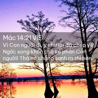Picture 02 - Mác 14:21 VIE - Vì Con người đi, y như lời đã chép - Bible Verse Picture