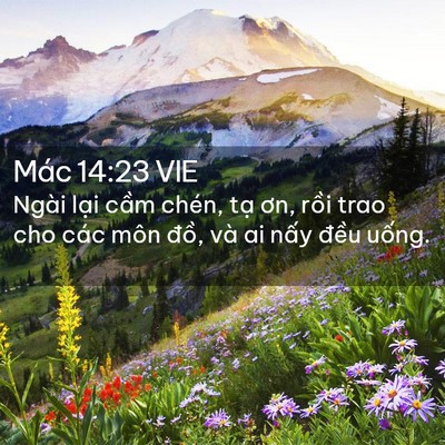 Picture 02 - Mác 14:23 VIE - Ngài lại cầm chén, tạ ơn, rồi trao cho - Bible Verse Picture