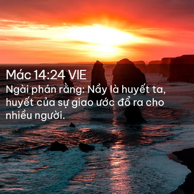 Picture 02 - Mác 14:24 VIE - Ngài phán rằng: Nầy là huyết ta, huyết - Bible Verse Picture