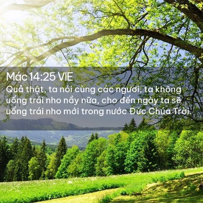 Picture 02 - Mác 14:25 VIE - Quả thật, ta nói cùng các ngươi, ta - Bible Verse Picture