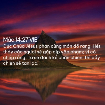 Picture 02 - Mác 14:27 VIE - Đức Chúa Jêsus phán cùng môn đồ - Bible Verse Picture