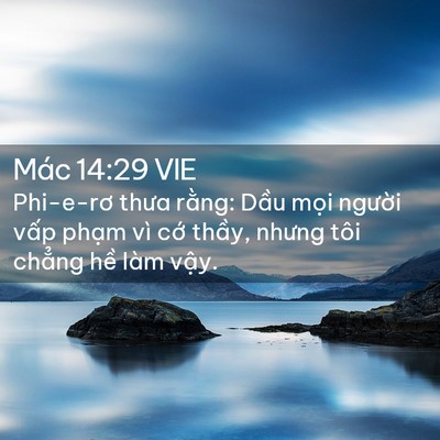 Picture 02 - Mác 14:29 VIE - Phi-e-rơ thưa rằng: Dầu mọi người - Bible Verse Picture