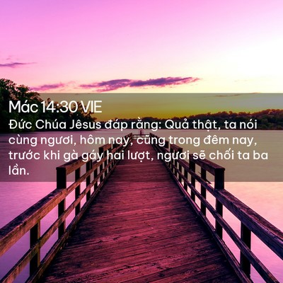 Picture 02 - Mác 14:30 VIE - Đức Chúa Jêsus đáp rằng: Quả thật, - Bible Verse Picture