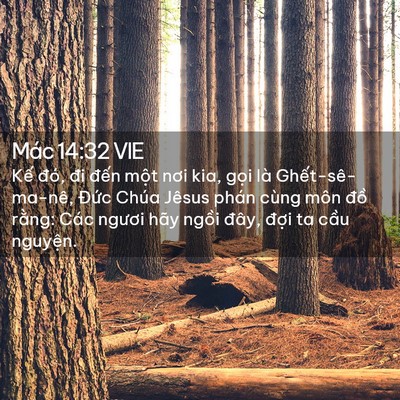 Picture 02 - Mác 14:32 VIE - Kế đó, đi đến một nơi kia, gọi là - Bible Verse Picture
