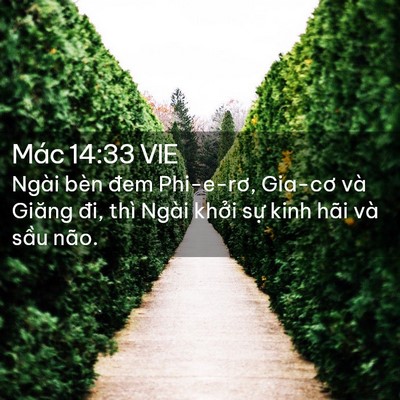 Picture 02 - Mác 14:33 VIE - Ngài bèn đem Phi-e-rơ, Gia-cơ và Giăng - Bible Verse Picture