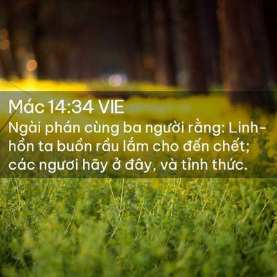 Picture 02 - Mác 14:34 VIE - Ngài phán cùng ba người rằng: Linh-hồn - Bible Verse Picture