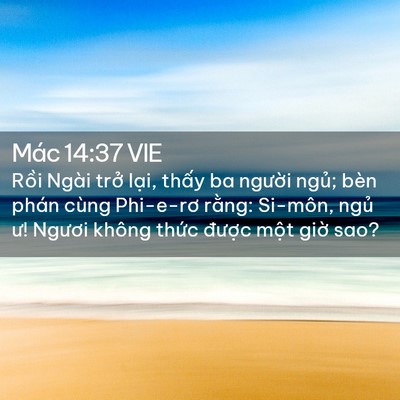 Picture 02 - Mác 14:37 VIE - Rồi Ngài trở lại, thấy ba người - Bible Verse Picture