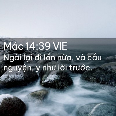 Picture 02 - Mác 14:39 VIE - Ngài lại đi lần nữa, và cầu nguyện, - Bible Verse Picture