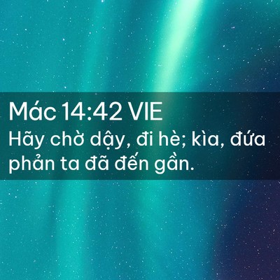 Picture 02 - Mác 14:42 VIE - Hãy chờ dậy, đi hè; kìa, đứa phản ta - Bible Verse Picture