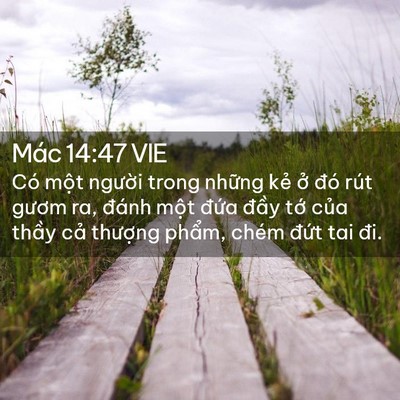 Picture 02 - Mác 14:47 VIE - Có một người trong những kẻ ở đó - Bible Verse Picture