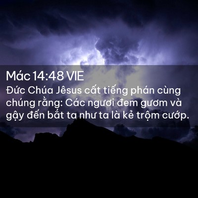Picture 02 - Mác 14:48 VIE - Đức Chúa Jêsus cất tiếng phán cùng - Bible Verse Picture