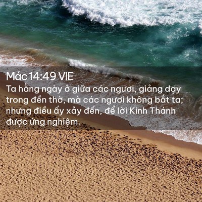 Picture 02 - Mác 14:49 VIE - Ta hằng ngày ở giữa các ngươi, giảng - Bible Verse Picture
