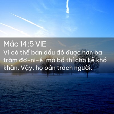 Picture 02 - Mác 14:5 VIE - Vì có thể bán dầu đó được hơn ba - Bible Verse Picture
