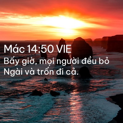 Picture 02 - Mác 14:50 VIE - Bấy giờ, mọi người đều bỏ Ngài và - Bible Verse Picture