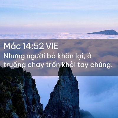 Picture 02 - Mác 14:52 VIE - Nhưng người bỏ khăn lại, ở truồng - Bible Verse Picture