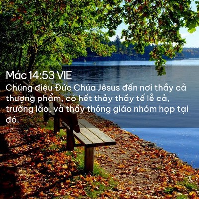 Picture 02 - Mác 14:53 VIE - Chúng điệu Đức Chúa Jêsus đến nơi - Bible Verse Picture