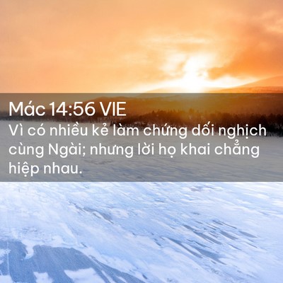 Picture 02 - Mác 14:56 VIE - Vì có nhiều kẻ làm chứng dối nghịch - Bible Verse Picture