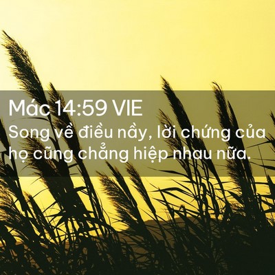 Picture 02 - Mác 14:59 VIE - Song về điều nầy, lời chứng của họ - Bible Verse Picture