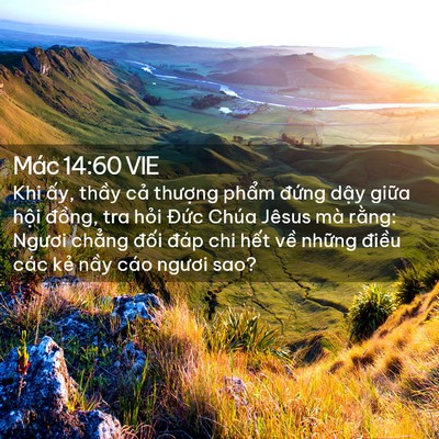 Picture 02 - Mác 14:60 VIE - Khi ấy, thầy cả thượng phẩm đứng - Bible Verse Picture