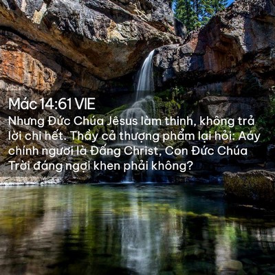 Picture 02 - Mác 14:61 VIE - Nhưng Đức Chúa Jêsus làm thinh, không - Bible Verse Picture