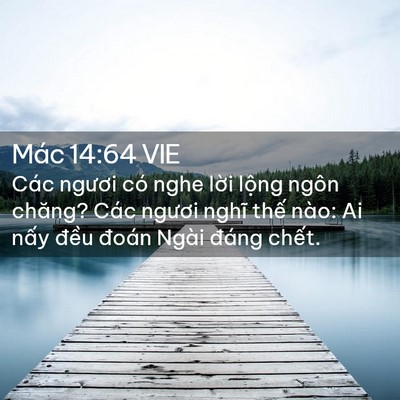 Picture 02 - Mác 14:64 VIE - Các ngươi có nghe lời lộng ngôn chăng? - Bible Verse Picture