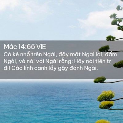 Picture 02 - Mác 14:65 VIE - Có kẻ nhổ trên Ngài, đậy mặt Ngài - Bible Verse Picture