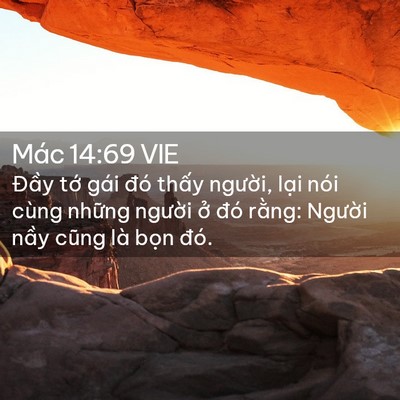 Picture 02 - Mác 14:69 VIE - Đầy tớ gái đó thấy người, lại nói - Bible Verse Picture