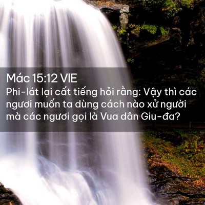 Picture 02 - Mác 15:12 VIE - Phi-lát lại cất tiếng hỏi rằng: Vậy - Bible Verse Picture