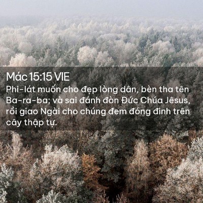 Picture 02 - Mác 15:15 VIE - Phi-lát muốn cho đẹp lòng dân, bèn tha - Bible Verse Picture