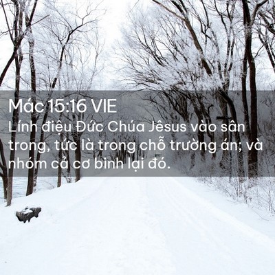 Picture 02 - Mác 15:16 VIE - Lính điệu Đức Chúa Jêsus vào sân - Bible Verse Picture