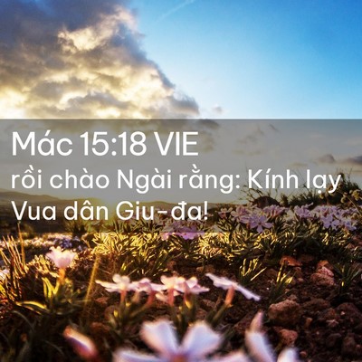 Picture 02 - Mác 15:18 VIE - rồi chào Ngài rằng: Kính lạy Vua dân - Bible Verse Picture