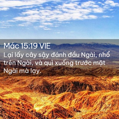 Picture 02 - Mác 15:19 VIE - Lại lấy cây sậy đánh đầu Ngài, nhổ - Bible Verse Picture