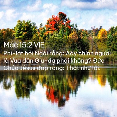 Picture 02 - Mác 15:2 VIE - Phi-lát hỏi Ngài rằng: Aáy chính ngươi - Bible Verse Picture