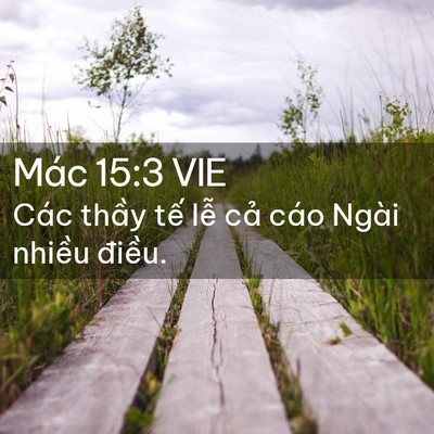 Picture 02 - Mác 15:3 VIE - Các thầy tế lễ cả cáo Ngài nhiều - Bible Verse Picture