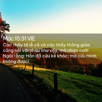 Picture 02 - Mác 15:31 VIE - Các thầy tế lễ cả và các thầy thông - Bible Verse Picture