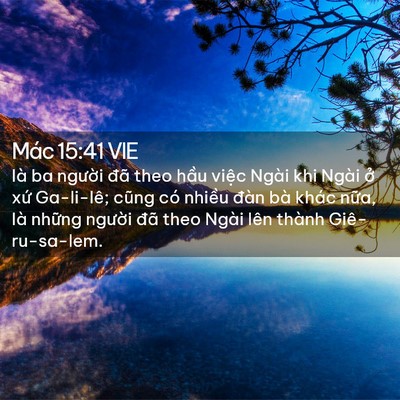 Picture 02 - Mác 15:41 VIE - là ba người đã theo hầu việc Ngài khi - Bible Verse Picture
