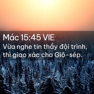 Picture 02 - Mác 15:45 VIE - Vừa nghe tin thầy đội trình, thì giao - Bible Verse Picture