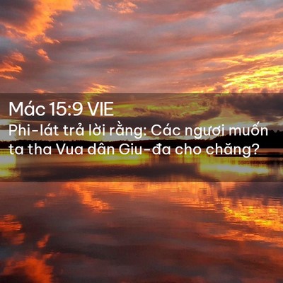 Picture 02 - Mác 15:9 VIE - Phi-lát trả lời rằng: Các ngươi muốn - Bible Verse Picture