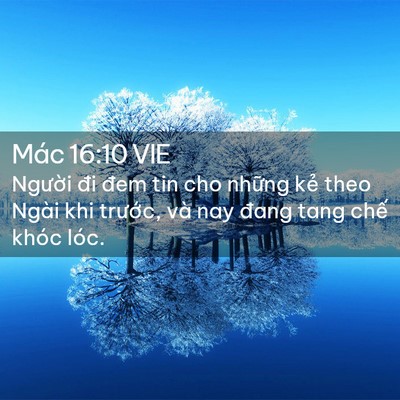 Picture 02 - Mác 16:10 VIE - Người đi đem tin cho những kẻ theo Ngài - Bible Verse Picture