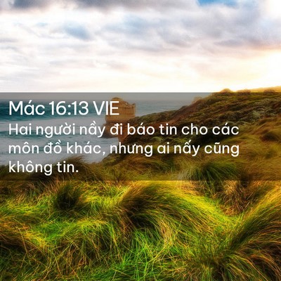 Picture 02 - Mác 16:13 VIE - Hai người nầy đi báo tin cho các môn - Bible Verse Picture