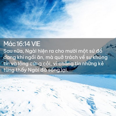 Picture 02 - Mác 16:14 VIE - Sau nữa, Ngài hiện ra cho mười một sứ - Bible Verse Picture