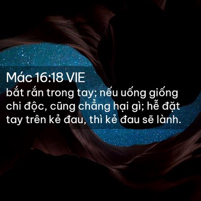 Picture 02 - Mác 16:18 VIE - bắt rắn trong tay; nếu uống giống chi - Bible Verse Picture