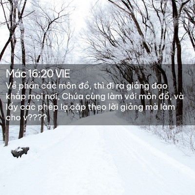 Picture 02 - Mác 16:20 VIE - Về phần các môn đồ, thì đi ra giảng - Bible Verse Picture