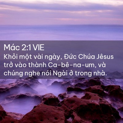 Picture 02 - Mác 2:1 VIE - Khỏi một vài ngày, Đức Chúa Jêsus - Bible Verse Picture