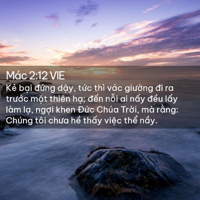 Picture 02 - Mác 2:12 VIE - Kẻ bại đứng dậy, tức thì vác - Bible Verse Picture