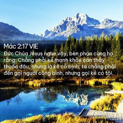 Picture 02 - Mác 2:17 VIE - Đức Chúa Jêsus nghe vậy, bèn phán cùng - Bible Verse Picture