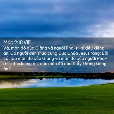 Picture 02 - Mác 2:18 VIE - Vả, môn đồ của Giăng và người - Bible Verse Picture