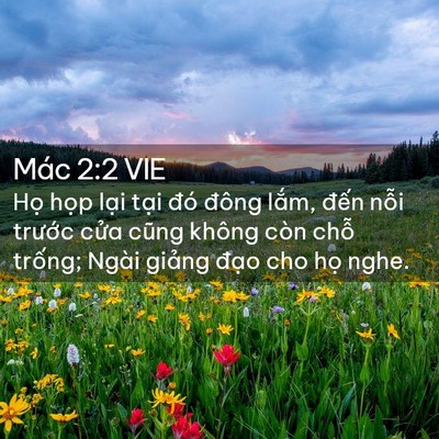 Picture 02 - Mác 2:2 VIE - Họ họp lại tại đó đông lắm, đến - Bible Verse Picture